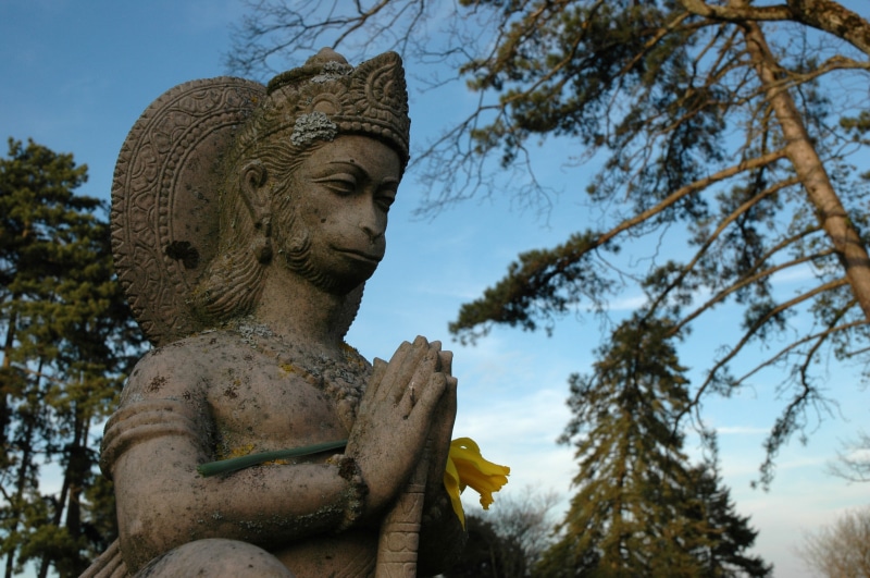 God, religion, craft, low angle view, representation, flower, belief, male likeness, spirituality, plant, nature, sculpture, Lord Hanuman, creativity, art and craft