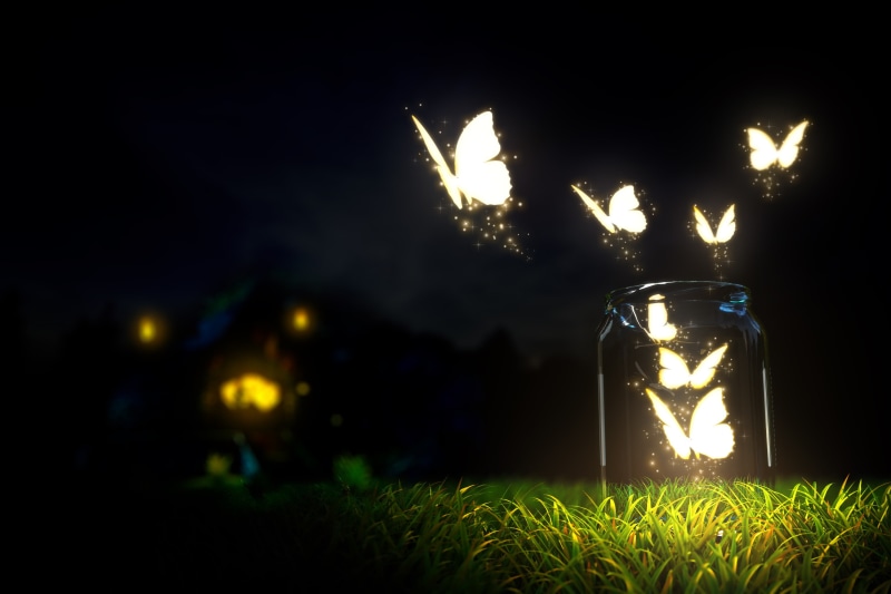 earth, grass, night, nature, bokeh, dark, glowing, bottles, jar, bottle, beautiful, ground, butterflies, macro, 2K, sky, blur