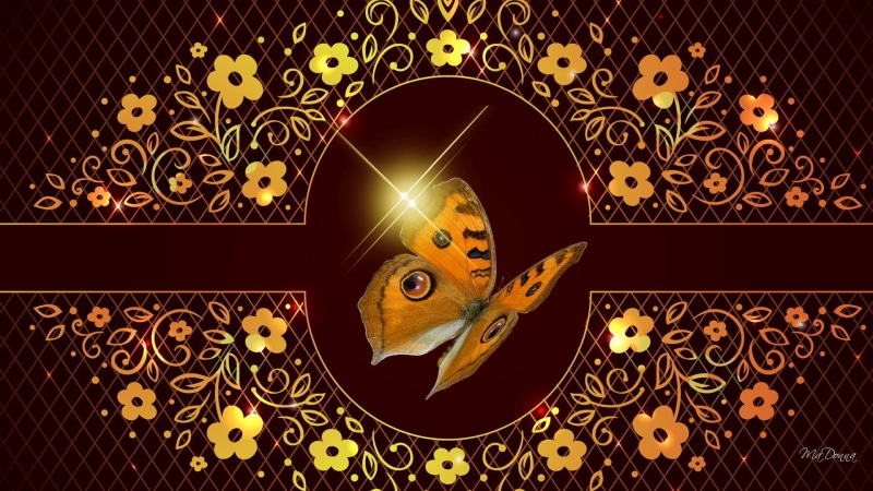 blossoms, flowers, brown, star, abstract, gold, 1080P, butterfly, summer, animals, glow, sparkle