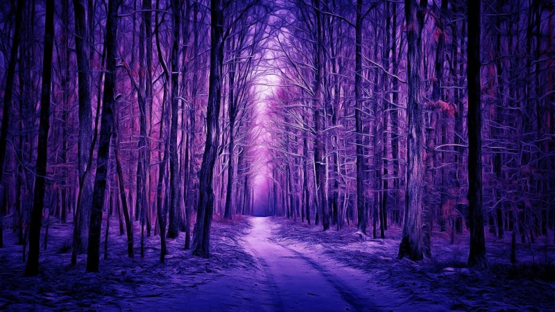 forest path, tree, winter, digital art, digital painting, purple landscape, pathway, 1080P, woodland, forest, purple, purple forest, woods, path, darkness