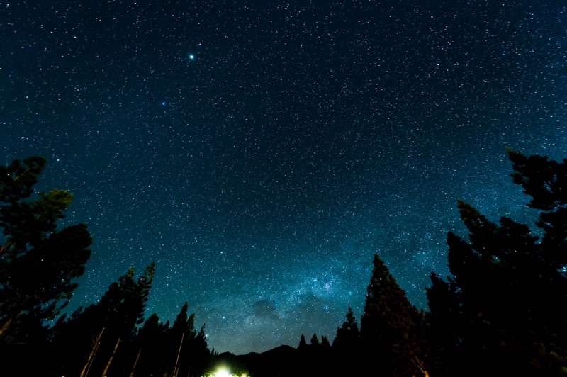 infinity, plant, houston Astros, low angle view, star Shape, science, black Color, dark, landscape, space, star Trail, beauty In Nature, illuminated, constellation