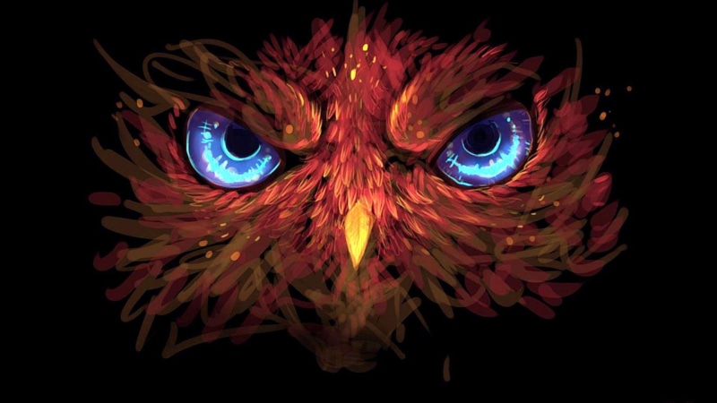 illuminated, bird, animal body part, darkness, 1080P, art and craft, close-up, owl, body part, artwork, eye, animal eye, representation, multi colored
