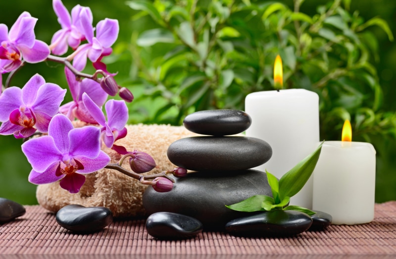 bamboo - Plant, lastone Therapy, body Care, flowering plant, aromatherapy, healthy Lifestyle, plant part, luxury, black Color, black, pampering, wellbeing