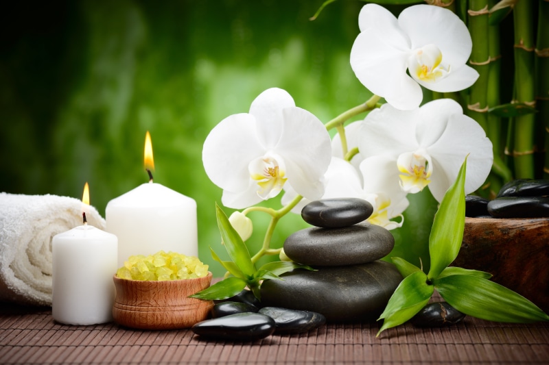 single Flower, rock - Object, purity, alternative Therapy, hygiene, outdoors, flowers, balance, alternative Medicine, white, focus on foreground, close-up