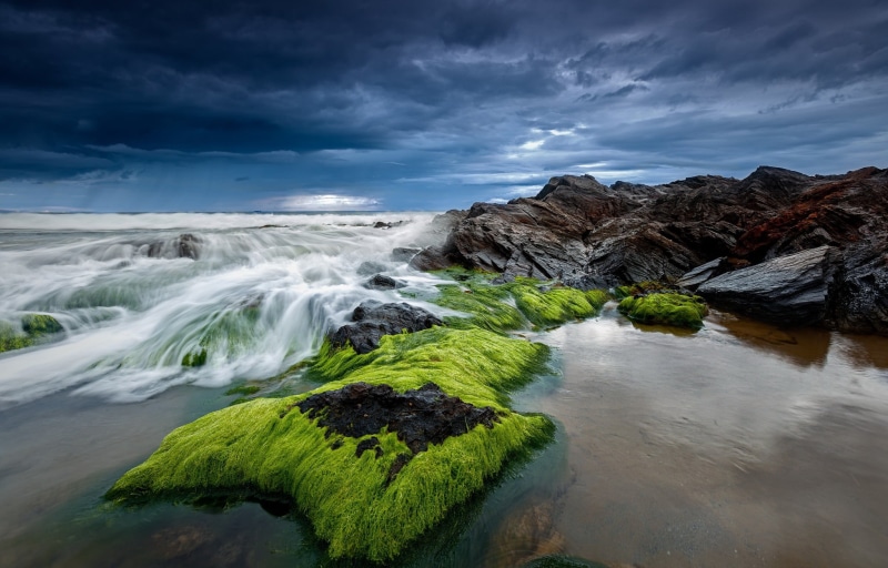 water, beauty in nature, motion, solid, fish, day, scenics - nature, black, blurred motion, land, outdoors, long exposure, cloud - sky, environment, power in nature