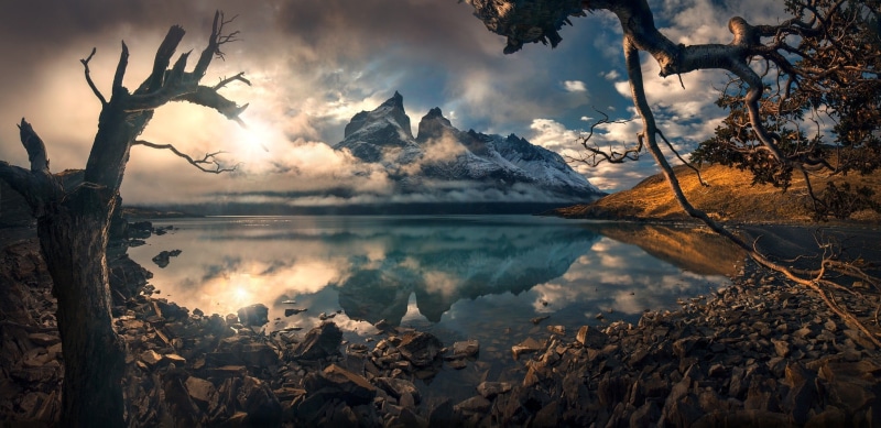 scenics - nature, rocks, brown, mountains, plant, leafed, tranquil scene, illustration, tree, tranquility, 1080P, idyllic, snowcapped mountain, non-urban scene