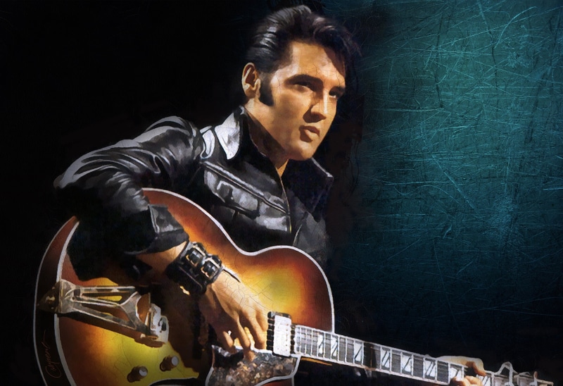 nightlife, guitar, artist, singer, rock music, indoors, string instrument, elvis, studio shot, pop musician, skill, Elvis Presley, musician, creativity
