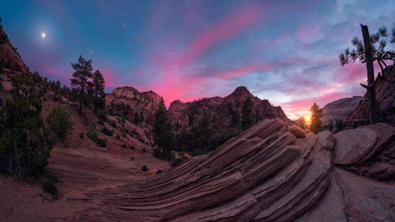 beauty in nature, no people, night sky, mountain, moon, cloud - sky, night, environment, zion national park, sky, astronomy, nature, tree, national park