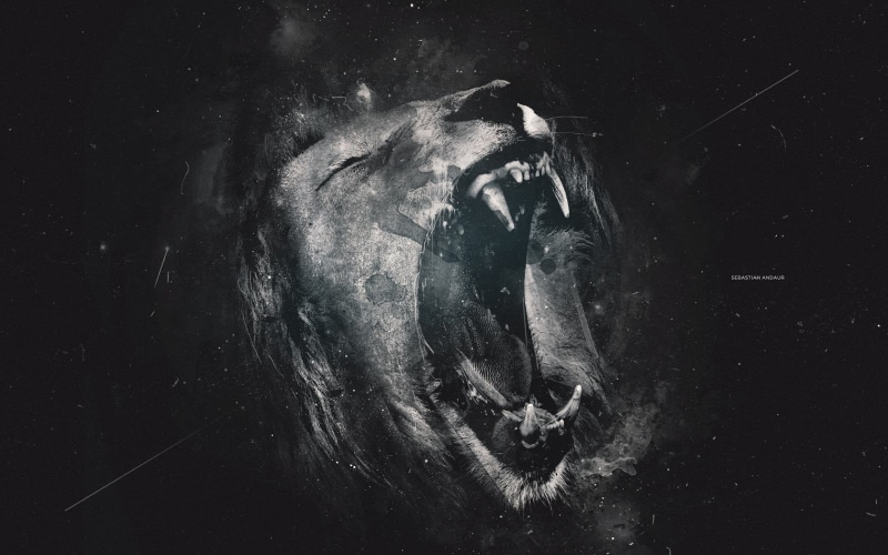 one animal, underwater, close-up, auto post production filter, 720P, aggression, animals, swimming, mammal, black background, marine, no people, lion