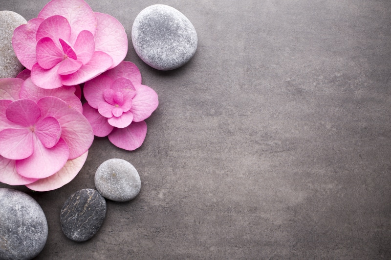 flowers, zen-like, plant, beauty, close-up, no people, relaxation, zen, still life, rock, pink, stones, nature, freshness, pebble, gray, flower head, beauty in nature