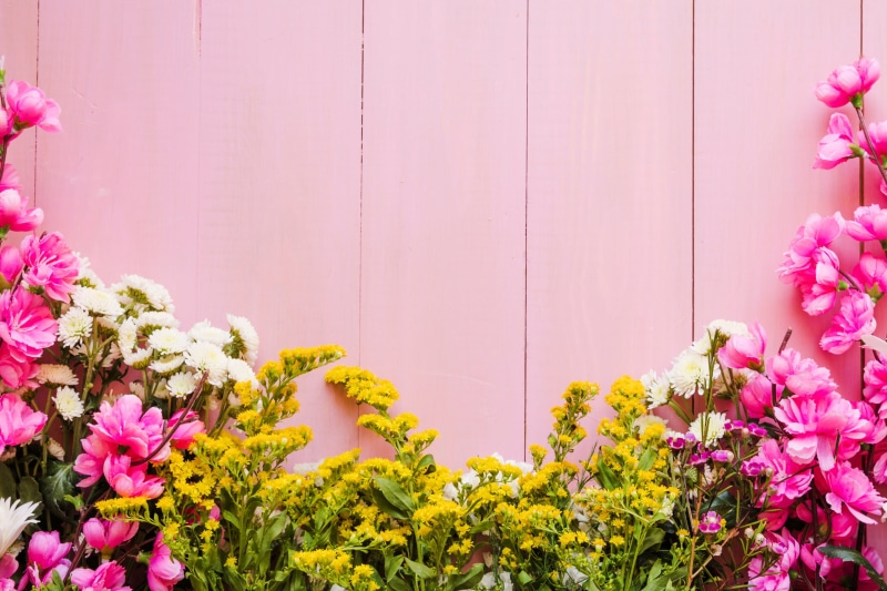 background, 2K, flowers, wooden, floral, spring, pink
