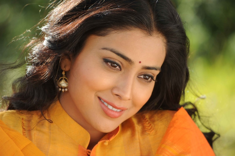 indian, saree, saran, shreya, 4K, actress, lips