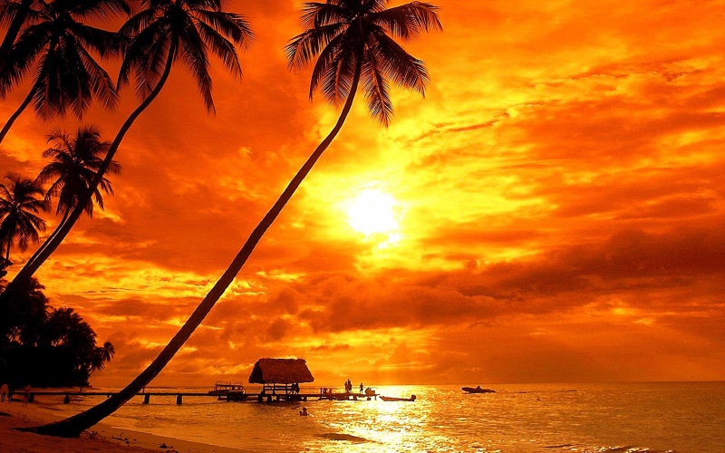 red, palm, k, hd, tv, beach, 4K, trees, phones, bora, laptop, tropical, ultra, desktop, mobile, sky, tablet, sunset, clouds