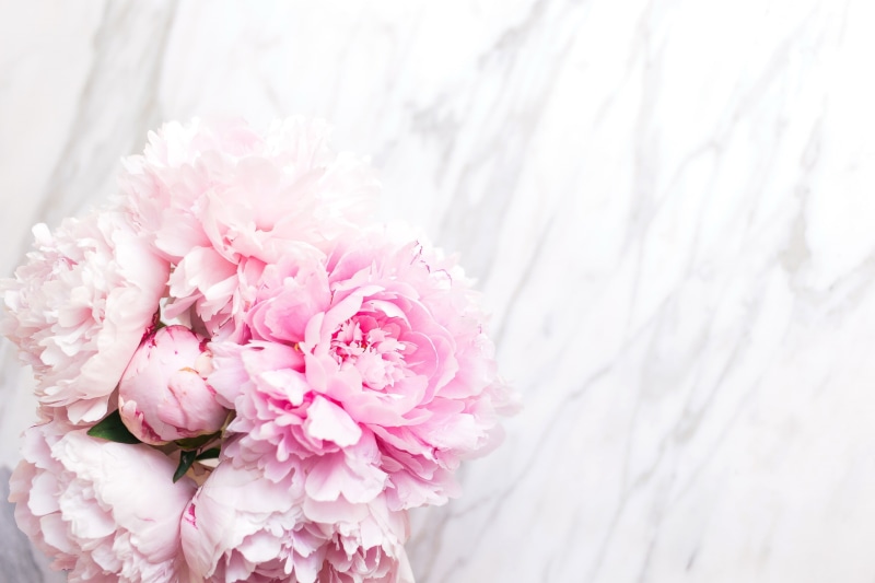 decoration, white color, fragility, pink, wedding, selective focus, summer, celebration, flowering plant, inflorescence, beauty In Nature, flower, pink Color
