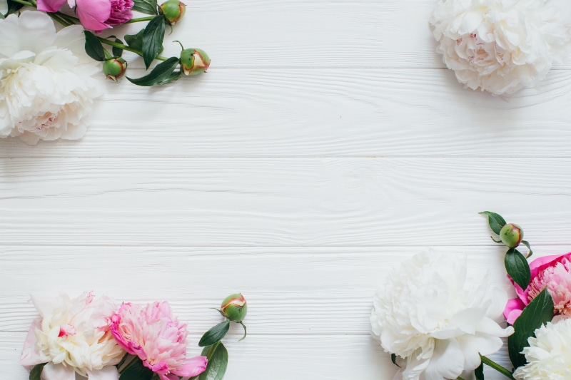 Peonies, Wooden background, 5K, Buds, Flowers, Spring