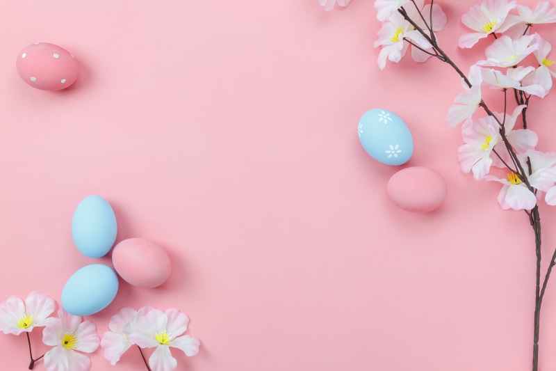 tender, Happy, background, blossom, 4K, wood, flowers, decoration, spring, eggs, Easter, pink