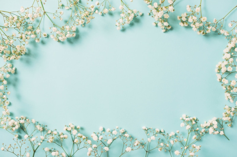 spring, floral, 5K, flowers, white, background, frame