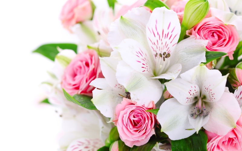 Flowers, Pink, flower, White, 2K, Orchids, Bouquet, roses, Rose, photograph