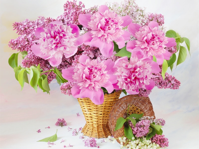 Lilac, Pink, 2K, Flowers, Basket, Peonies