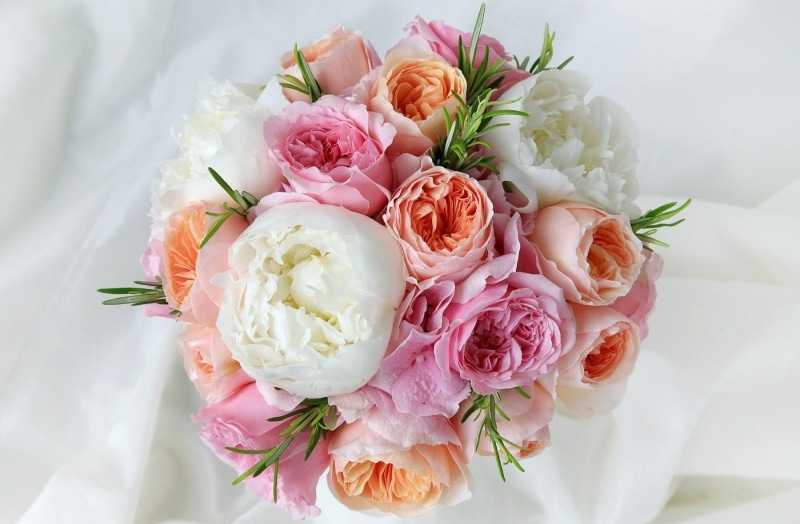 bride, summer, married, nature, tenderness, freshness, inflorescence, bouquet, flower, pink, rose, plant, close-up, flowers, flower Head, petal, 720P