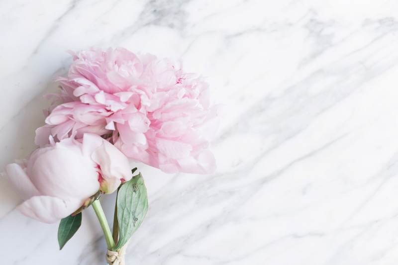 peonies, tender, bouquet, marble, 2K, flowers, pink