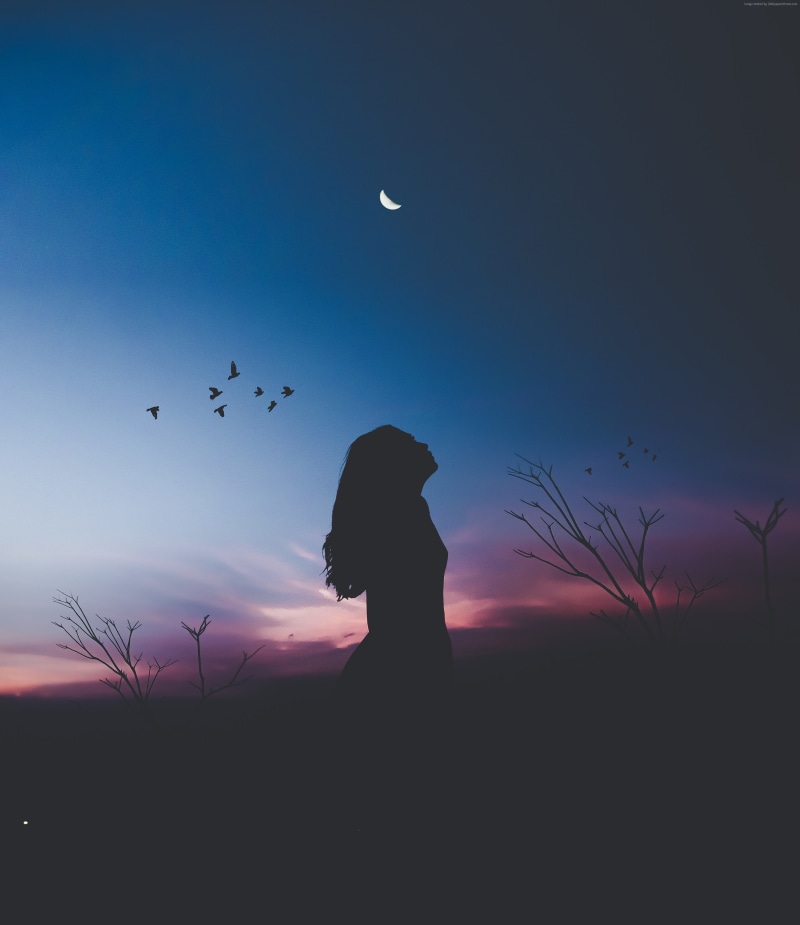 4K, Girl, Silhouette, Shadow, 4K