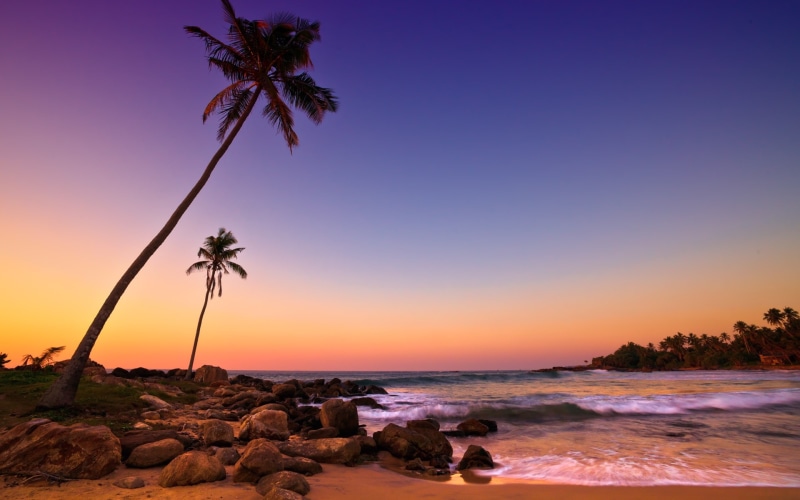 Sunset, Coast, Trees, lanka, SriLanka, 1080P, Beach, Palm, silhouette, Rocks, sri, Sea