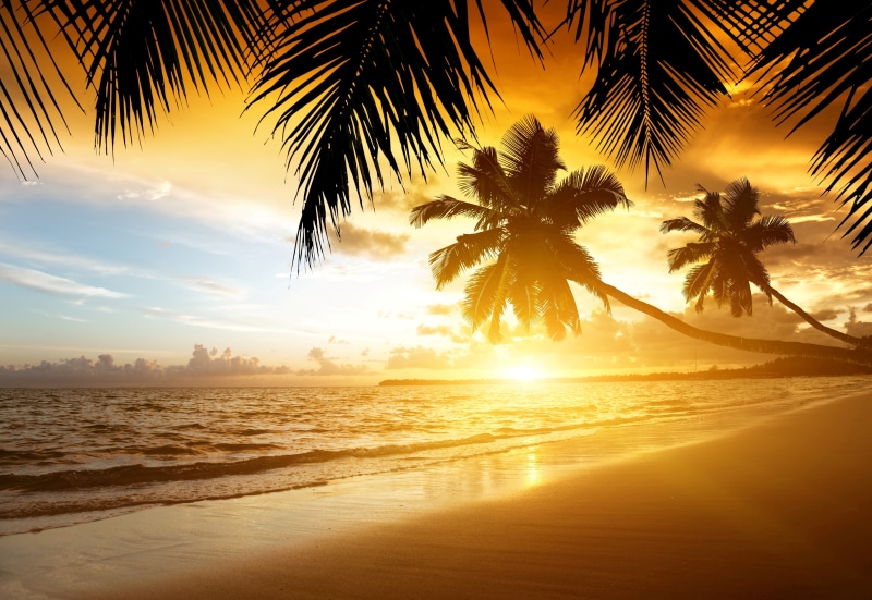 5K, scenics - nature, beauty In Nature, tropics, nature, ocean, day, idyllic, shore, dusk, blue, tourism, vacations, sunrise - Dawn, coastline, landscape