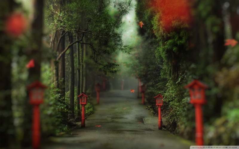 footpath, leaf, tranquility, post, outdoors, green Color, direction, park - Man Made Space, concrete, road, connection, lamps, gray, fog, growth, tree