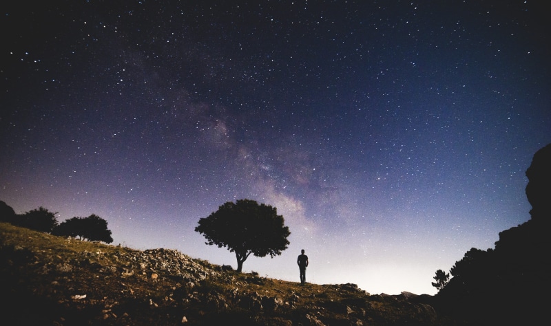 scenics, stars, tree, star field, tranquility, trees, dark, blue, 4K, person, star - Space, no people, astronomy, space, galaxy, sky, milky Way, space and astronomy