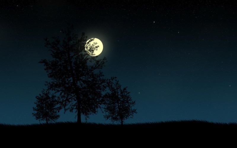 silhouette, 1080P, grass, tree, moonlight, moon, digital art, star, watching, 1920x1200, full