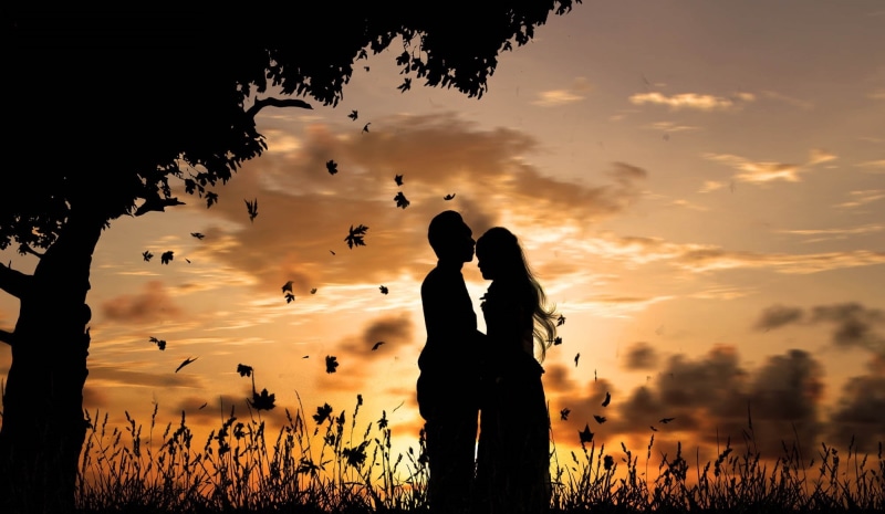 females, joy, embracing, freedom, romance, grass, sunset, photo, family, 1080P, sunrise - Dawn, guy, sun, young Adult, heterosexual Couple, girls, silhouette