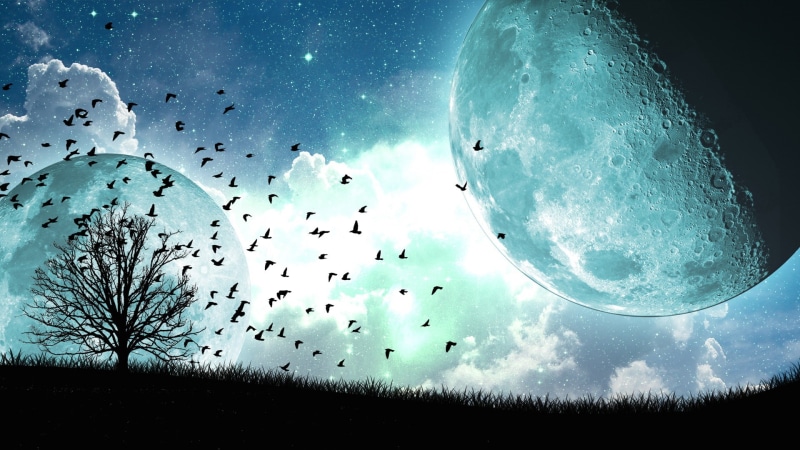 moon, digital/artwork, tree, hd, 1080P, stars, planets, birds, silhouette