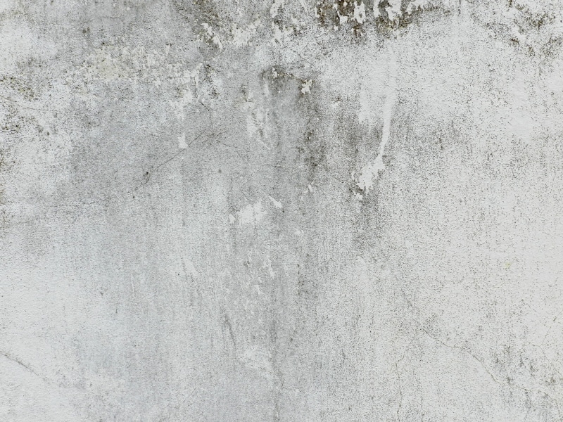 white, wall, crack, texture, stucco, mortar, no people, material, background, old, abstract backgrounds, 2K, cement, copy space, backgrounds, abstract
