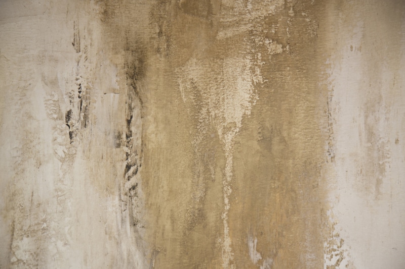 water, abstract, creative, wood - material, copy space, no people, 5K, decoration, white color, abstract backgrounds, textured effect, rustic, day, texture