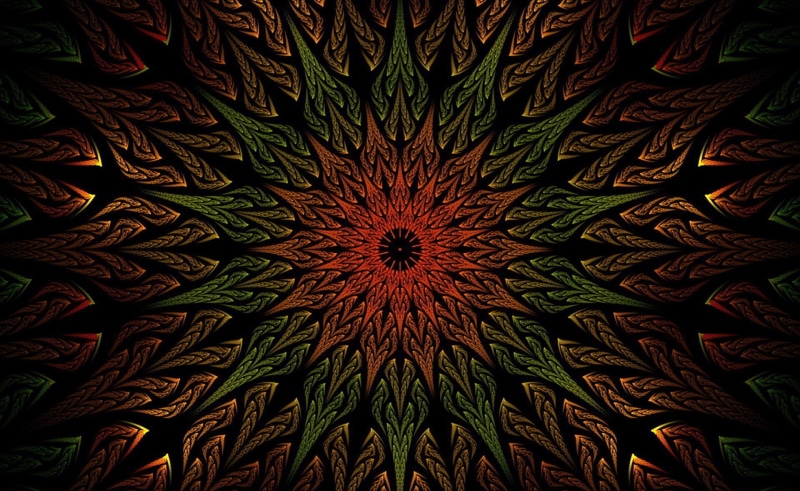 floral Pattern, painted Image, art, old-fashioned, multi Colored, texture, craft, black Color, decor, vector, pattern, mandala, textile, backdrop, shape