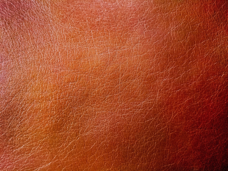 furniture, design, material, backgrounds, abstract backgrounds, paper, photo, interior, dark, abstract, textured, bright, animal body part, texture, no people