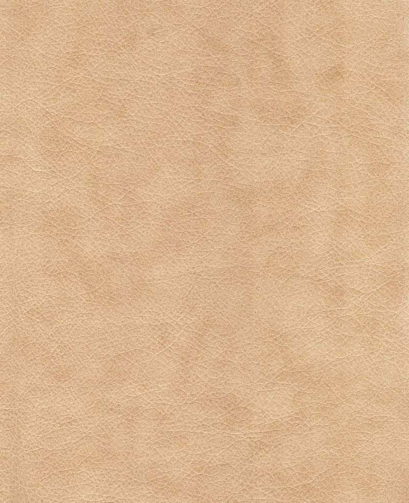 colored background, real feather, fur, brown paper, fiber, abstract, quality, raw, copy space, textures, creativity, fabric, rau, create, creative, artists canvas