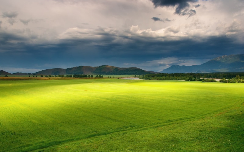 cloud - sky, trees, plant, scenics - nature, tranquil scene, field, sky, outdoors, 1080P, mountains, environment, grass, clouds, nature, day, landscape