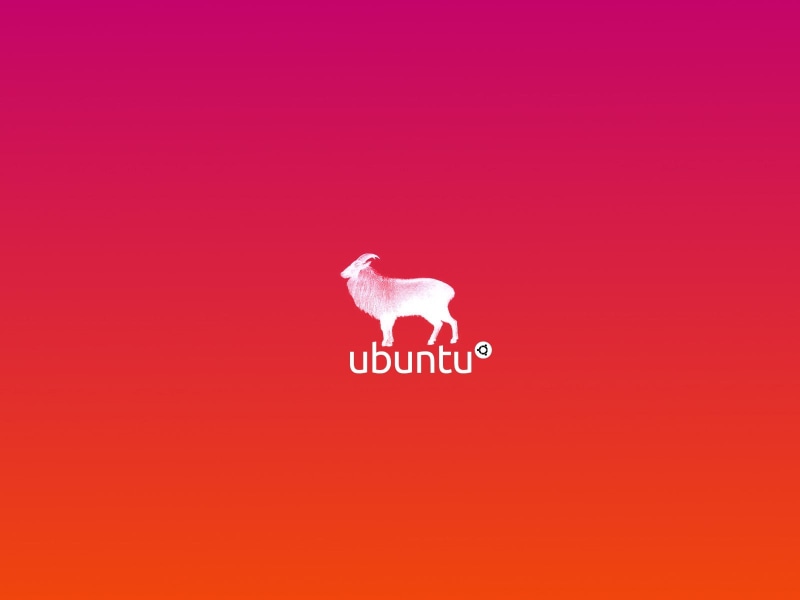 nature, Linux, bird, full length, care, text, heart shape, animals in the wild, love, copy space, emotion, 720P, positive emotion, vertebrate, valentines day - holiday