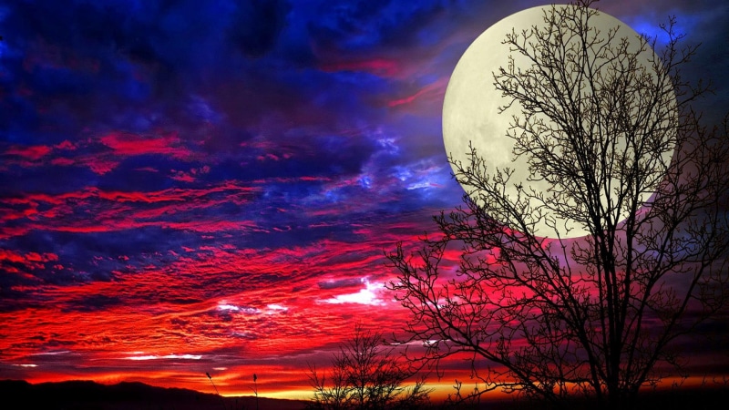 full moon, sky, super moon, 1080P, night sky, moon, fantasy, night