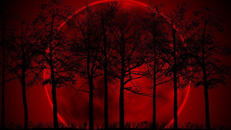 fantasy, night, full moon, moon, black, silhouette, red sky, trees, red, 1080P