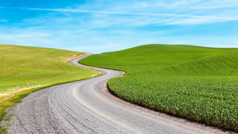 green, f/2, meadow, outdoors, concrete road, field, Pacific Northwest, landscaped, field  hill, 70mm, curve, USM, Canon EOS 5D Mark III, green grass, near