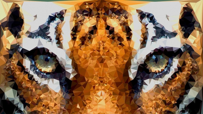 design, multi colored, no people, mosaic, painting, tiger, eyes, animal themes, large group of objects, wall - building feature, full frame, digital art