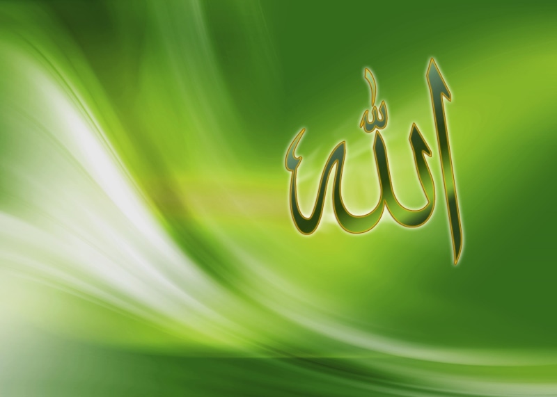 curve, gold colored, plant, Allah, backgrounds, freshness, shiny, symbol, abstract, leaf, concepts, illustration, 2K, growth, communication, calligraphy