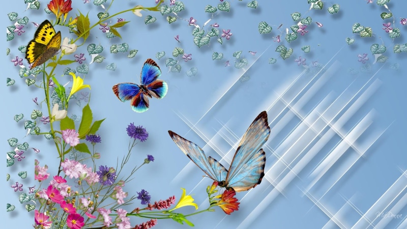 butterflies, firefox persona, summer, 1080P, flower, sparkles, wild flowers, scatter, wild, 3d and abstract, spring, color