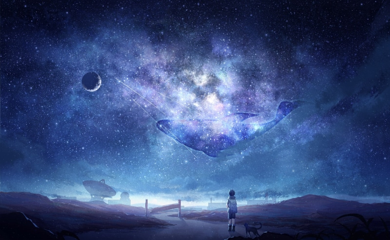 Anime, 2K, stars, milky way, whale, anime sky, anime boy, galaxy, dog, moon