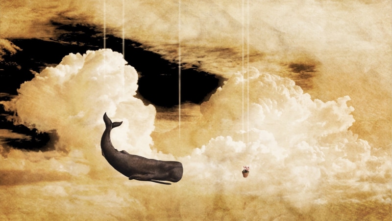 one animal, day, black, no people, animal, flying, outdoors, cloud - sky, composite image, bird, imagination, vertebrate, art and craft, animal themes