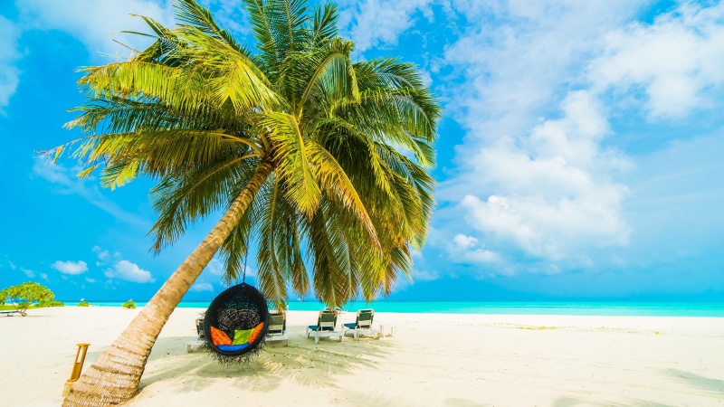 ocean, tropical landscape, vacation, sandy beach, tropics, maldives, tourism, summer, summertime, palm, sky, tropical beach, sea, palm tree, shore, tropical