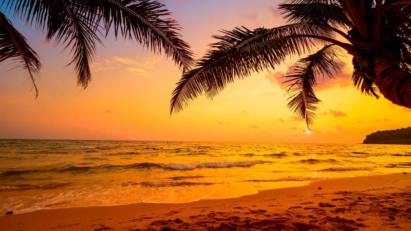 tropical, sea, sunset, tropical landscape, ocean, seascape, palm tree, evening, sky, horizon, shore, tropics, 4K, arecales, sunlight, beach